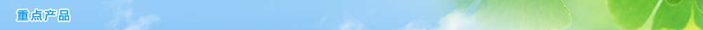 重點(diǎn)產(chǎn)品